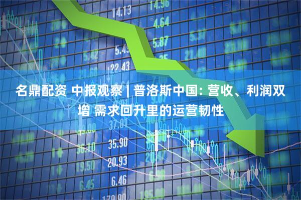 名鼎配资 中报观察 | 普洛斯中国: 营收、利润双增 需求回升里的运营韧性
