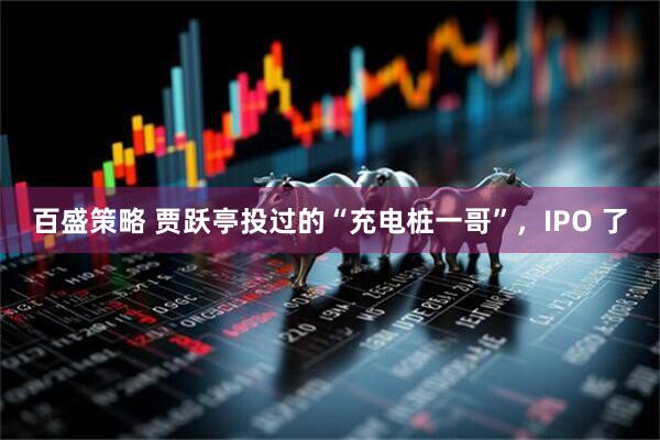 百盛策略 贾跃亭投过的“充电桩一哥”，IPO 了