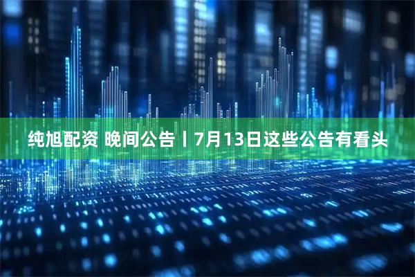 纯旭配资 晚间公告丨7月13日这些公告有看头